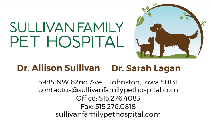 Family pet veterinary sales hospital